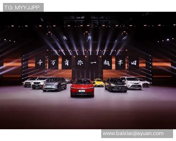 深圳足球队的洲际杯征程与奋斗精神全记录