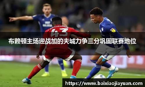 布赖顿主场迎战加的夫城力争三分巩固联赛地位