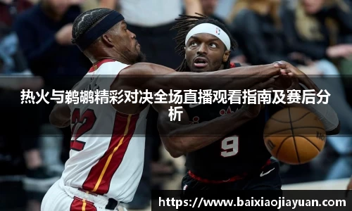 热火与鹈鹕精彩对决全场直播观看指南及赛后分析