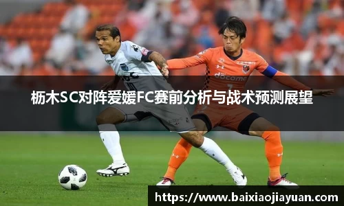 枥木SC对阵爱媛FC赛前分析与战术预测展望