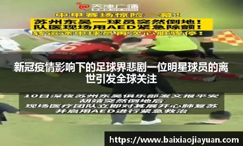 智博19有限公司